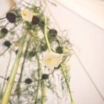 Mon Wedding Camping | Wedding Tents, Tipi and Bathroom and Toilet Hire across France